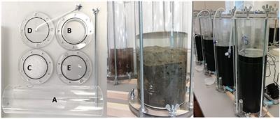 Dry-Wet Cycles Affect Nitrous Oxide Emissions Across Aquatic-Terrestrial Interfaces: A Mesocosms Study